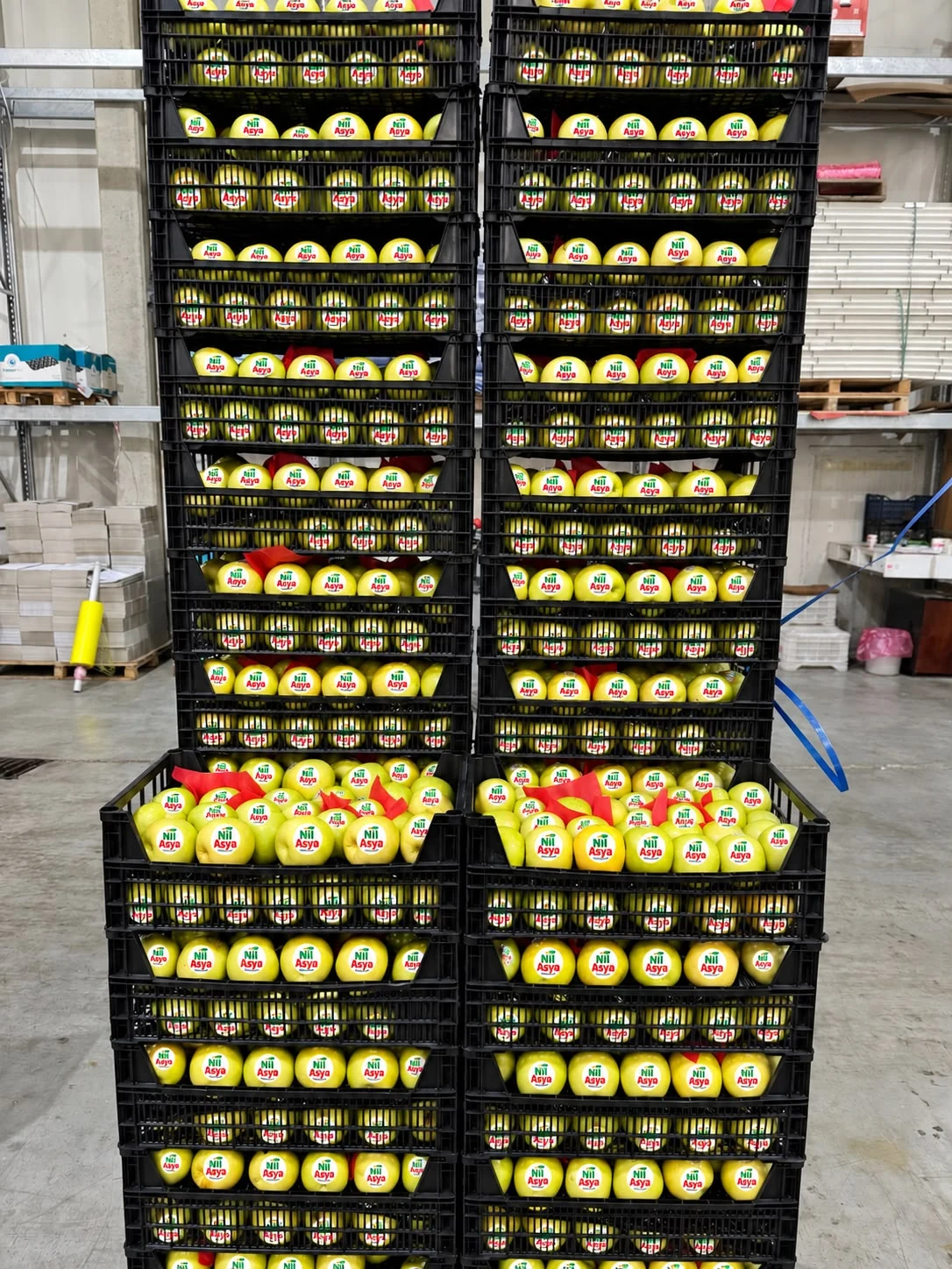 Golden Delicious Apple